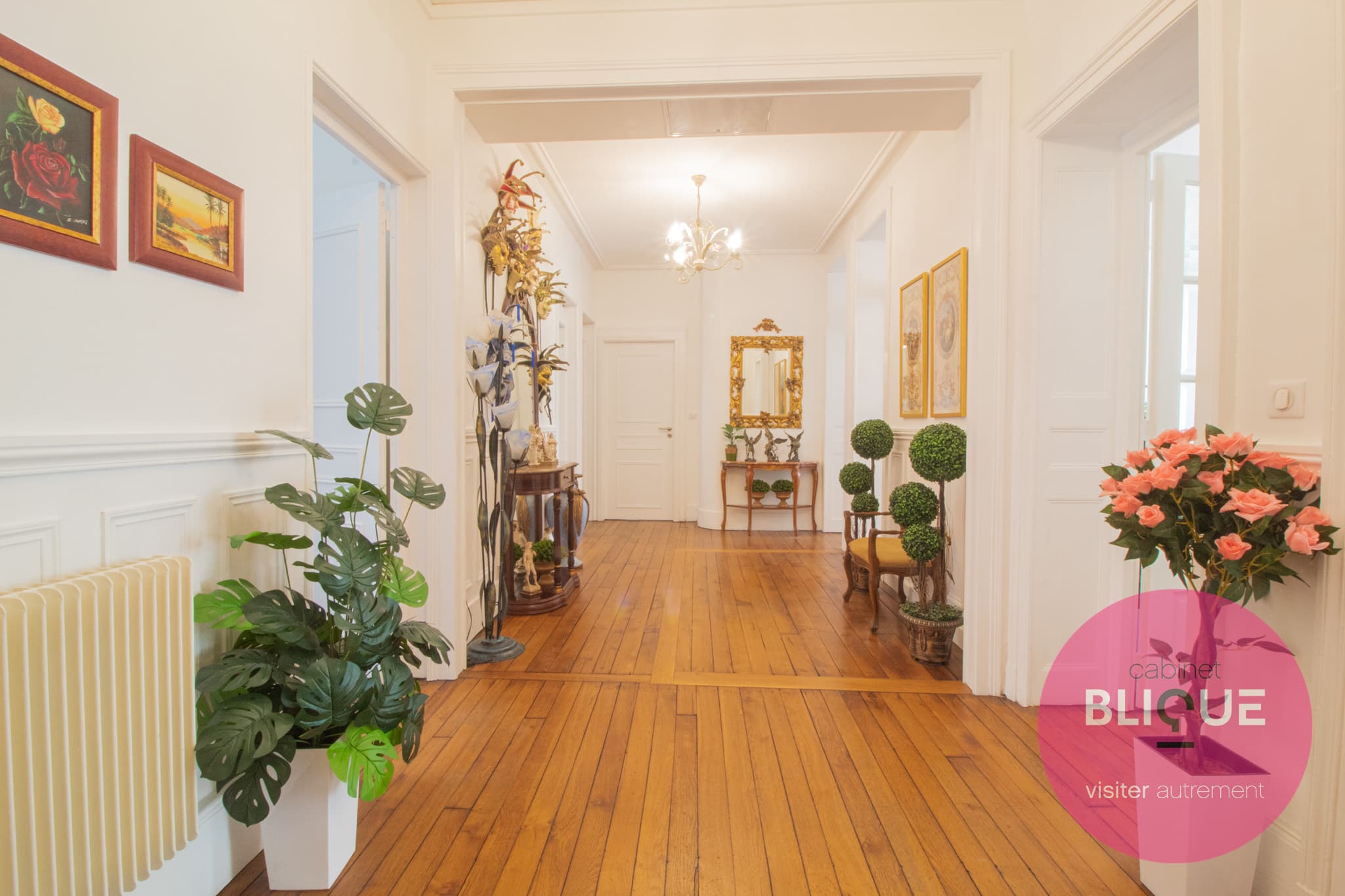 Photo principale - CERTAINS APPARTEMENT ONT DES MURS . CELUI-CI A UNE HISTOIRE !