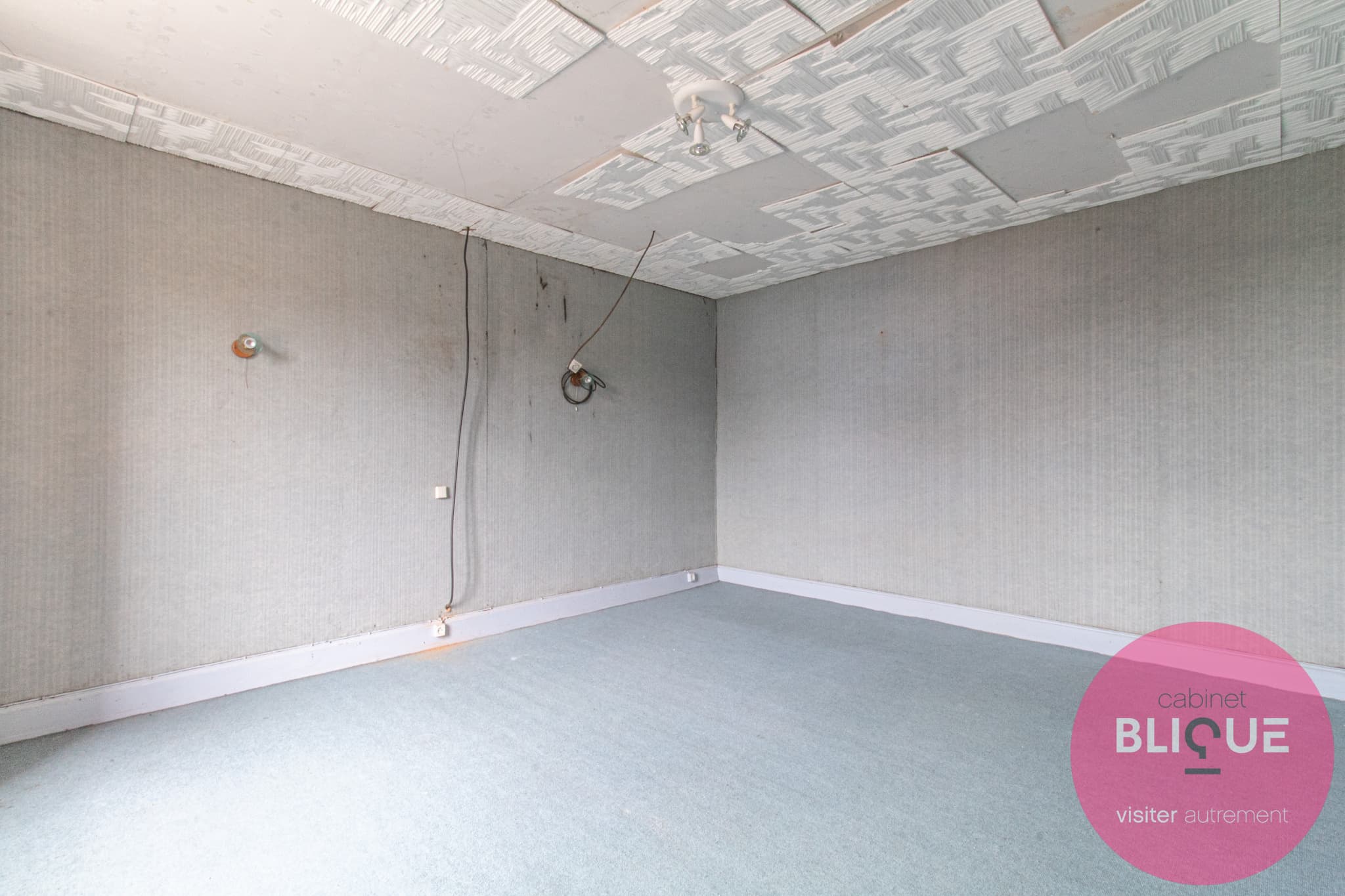 Photo 13 - UNE MAISON, TROIS APPARTS... ET MILLE PROJETS !