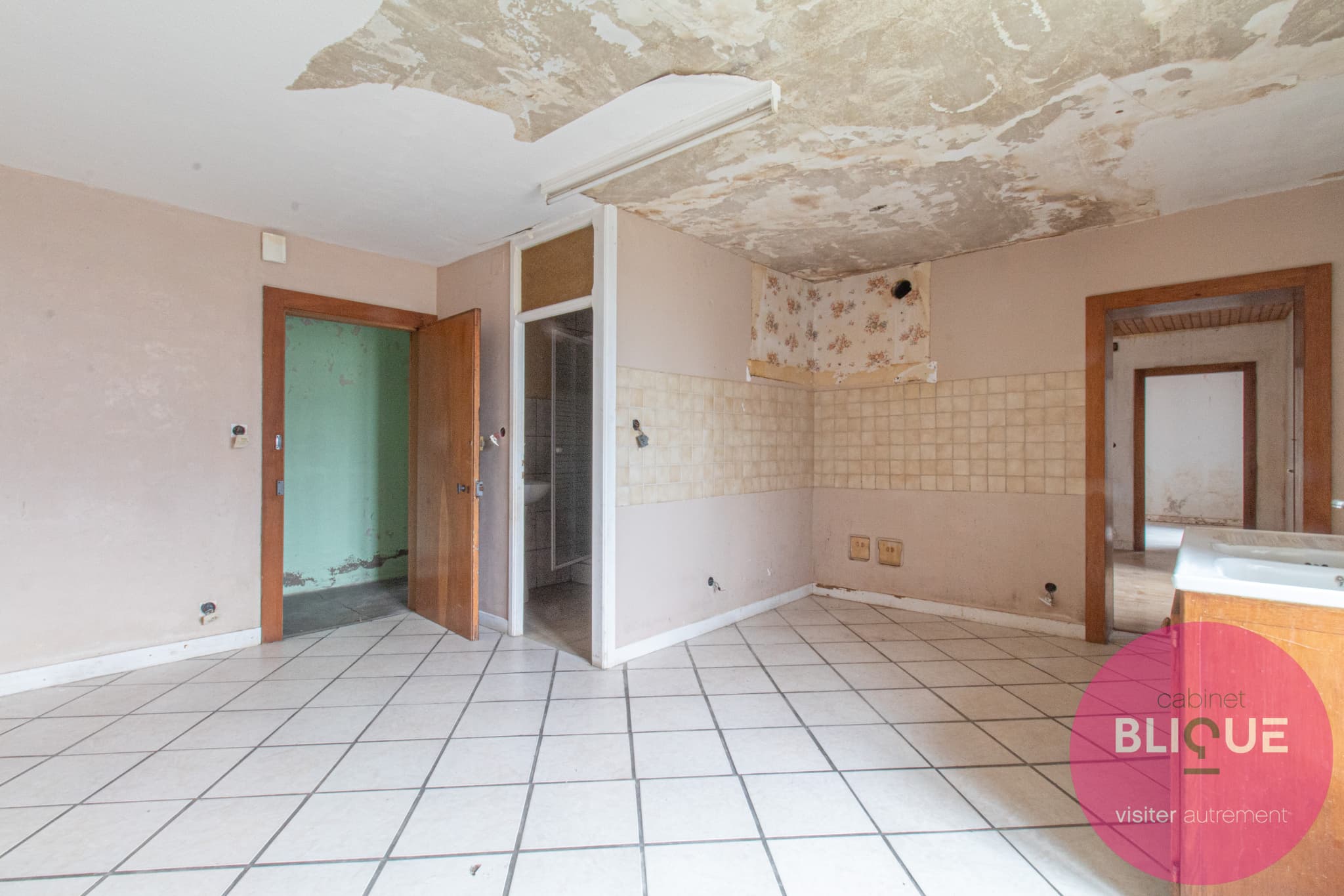 Photo 22 - UNE MAISON, TROIS APPARTS... ET MILLE PROJETS !