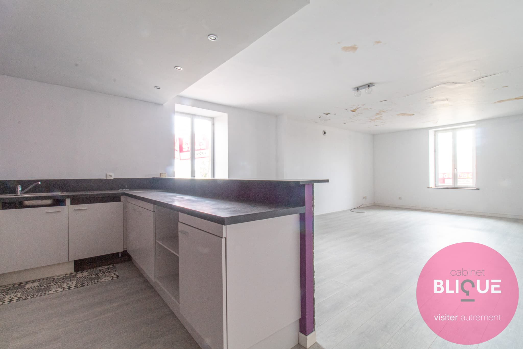 Photo 4 - UNE MAISON, TROIS APPARTS... ET MILLE PROJETS !