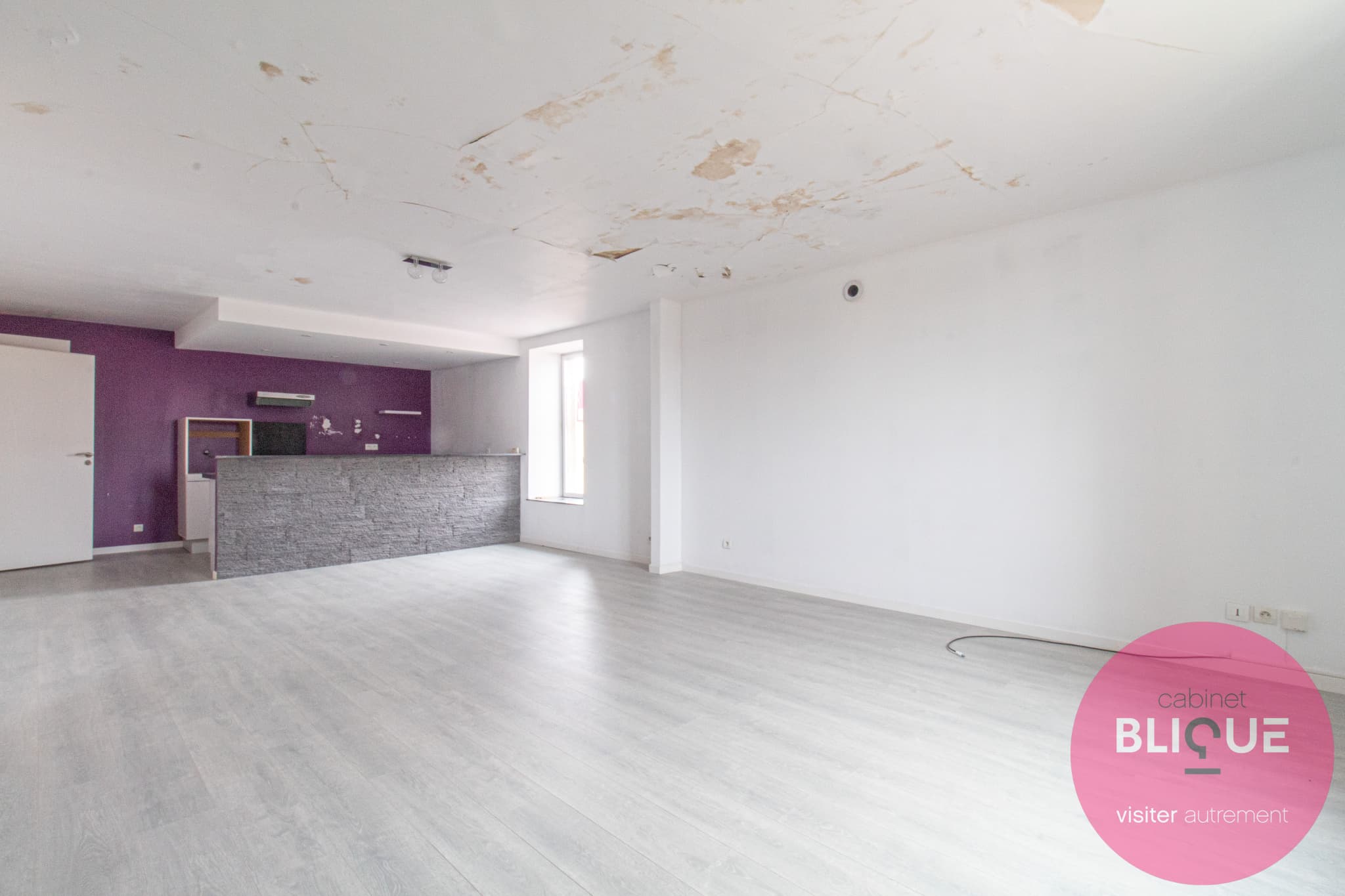 Photo 6 - UNE MAISON, TROIS APPARTS... ET MILLE PROJETS !