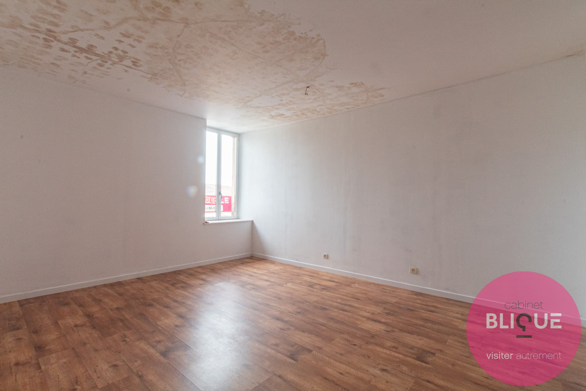 Photo 7 - UNE MAISON, TROIS APPARTS... ET MILLE PROJETS !