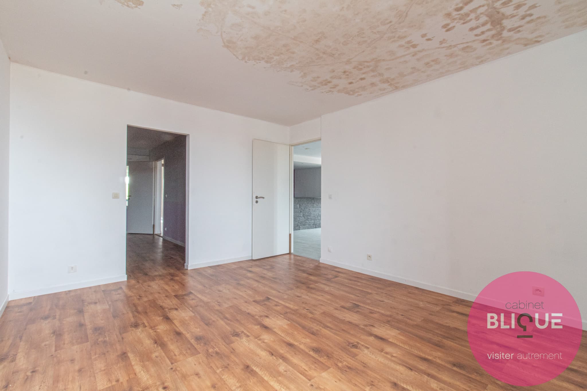 Photo 8 - UNE MAISON, TROIS APPARTS... ET MILLE PROJETS !